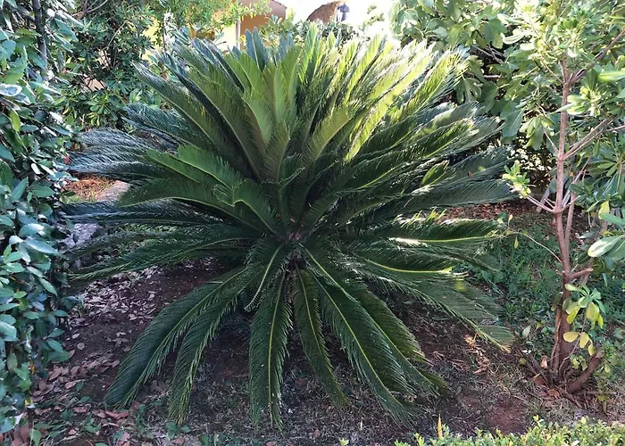 In - Insel Krk 42238 Σπίτι διακοπών *